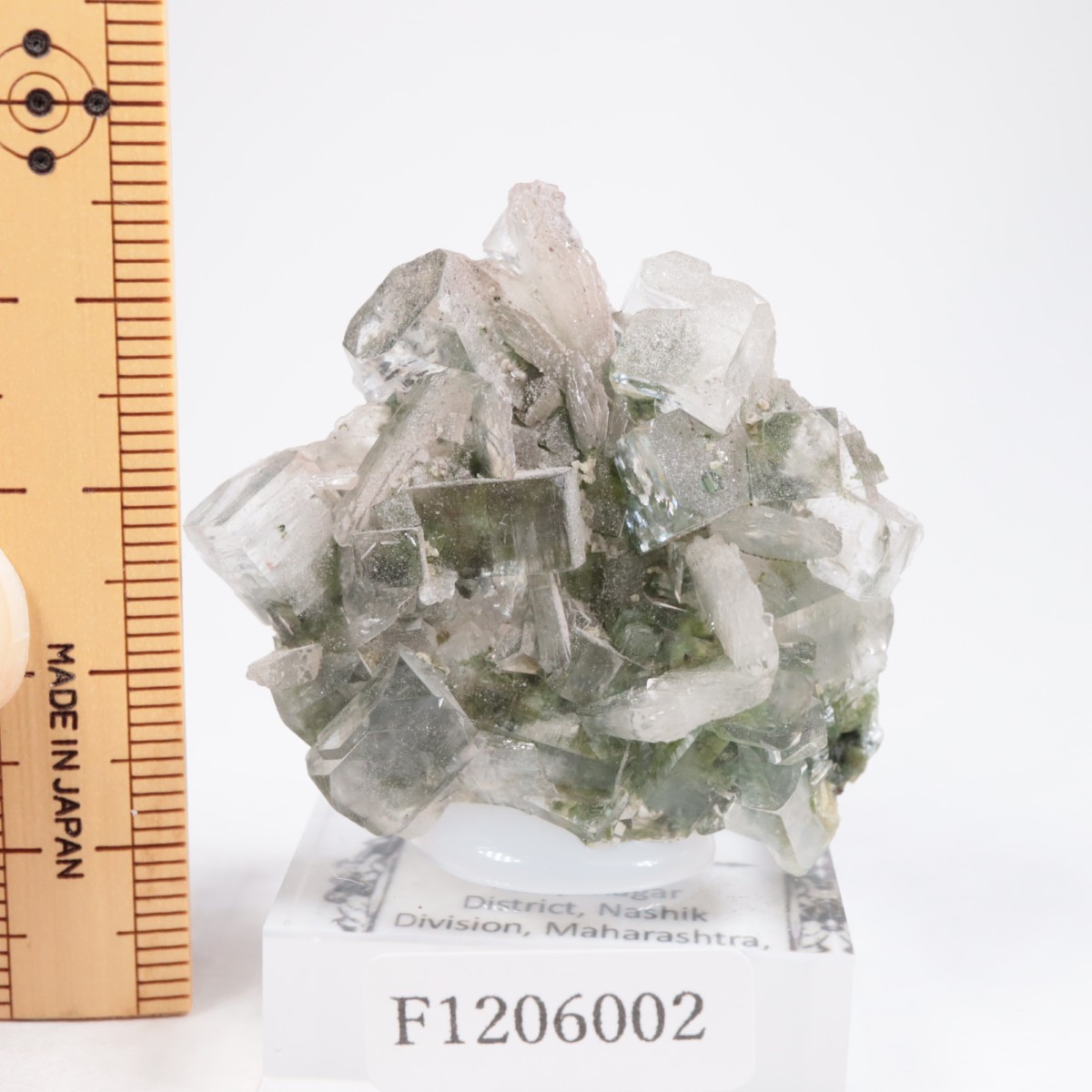 ����ɻ� ���ݥե��饤��