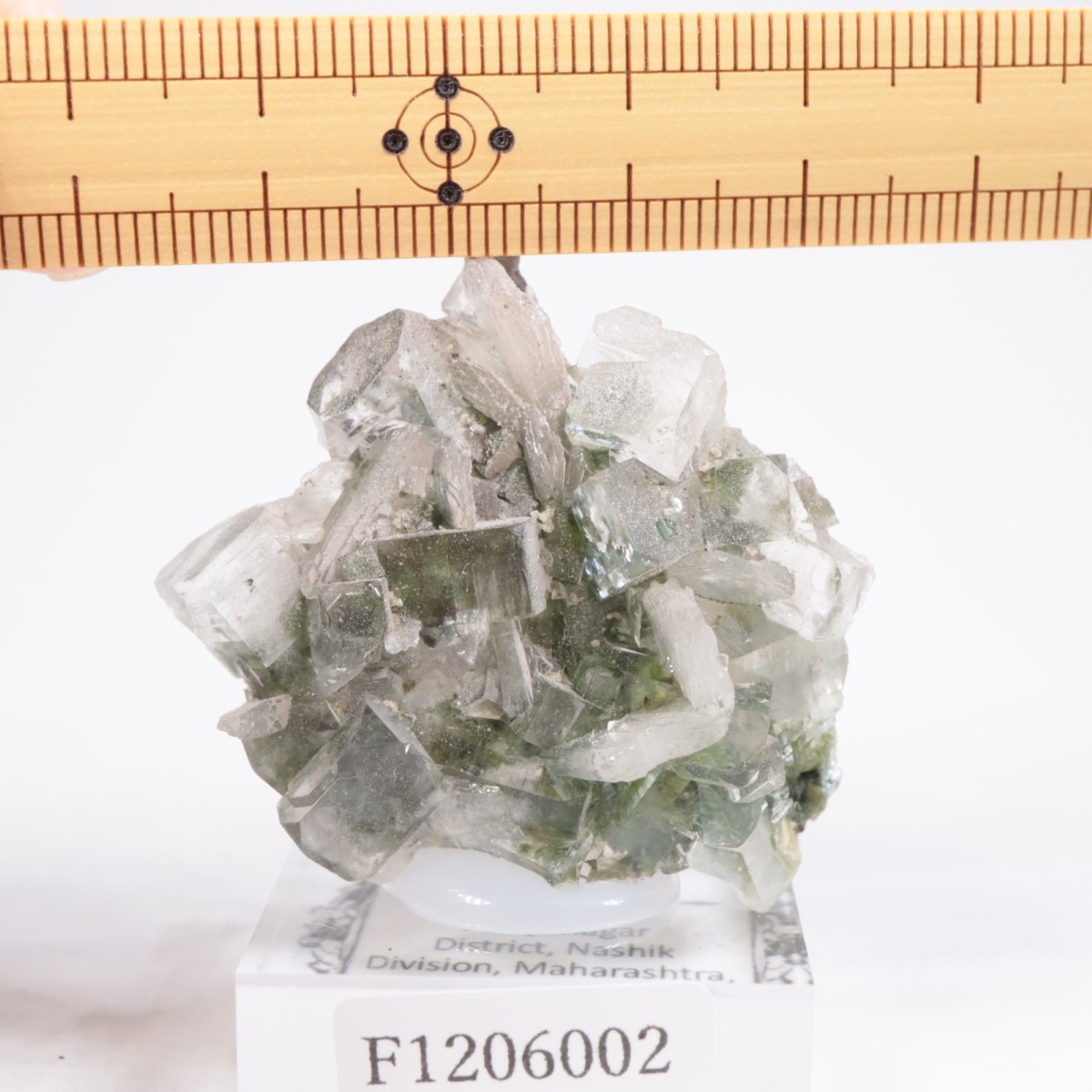 ����ɻ� ���ݥե��饤��