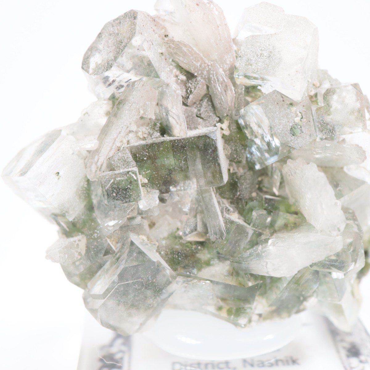 ����ɻ� ���ݥե��饤��