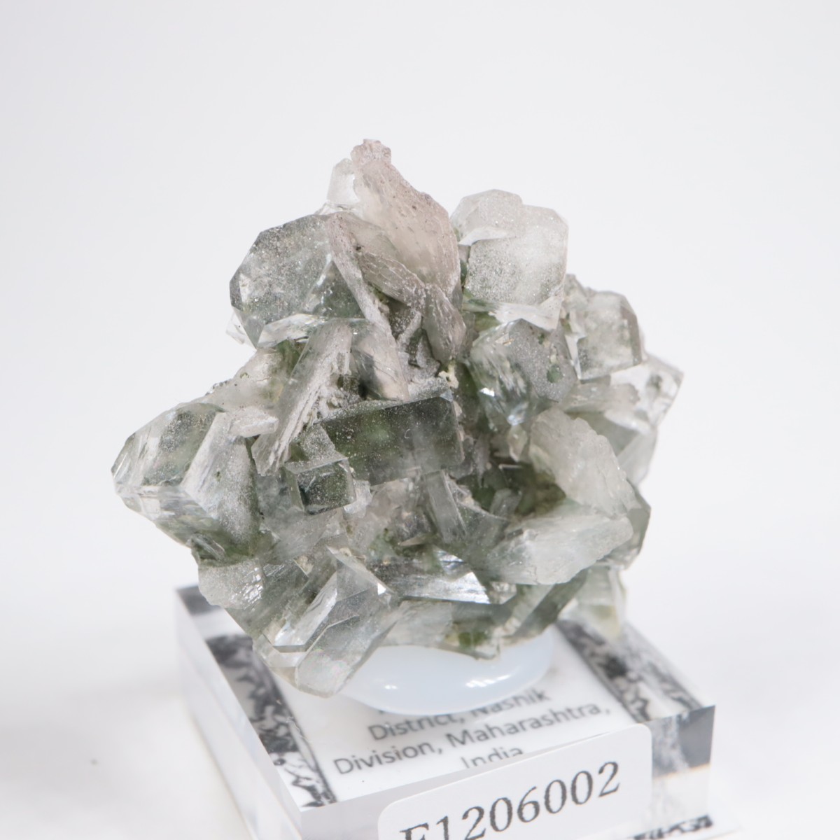 ����ɻ� ���ݥե��饤��