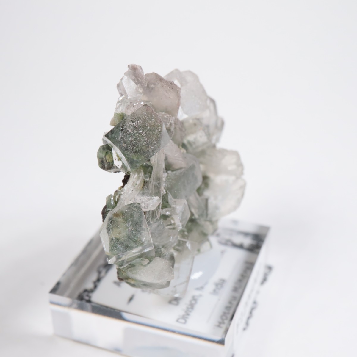 ����ɻ� ���ݥե��饤��