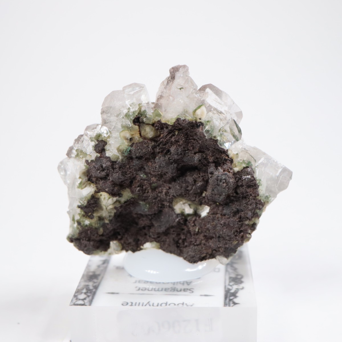 ����ɻ� ���ݥե��饤��