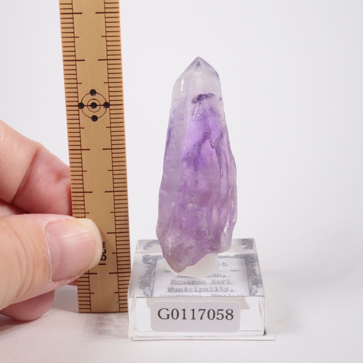 �ᥭ������ ���᥷����