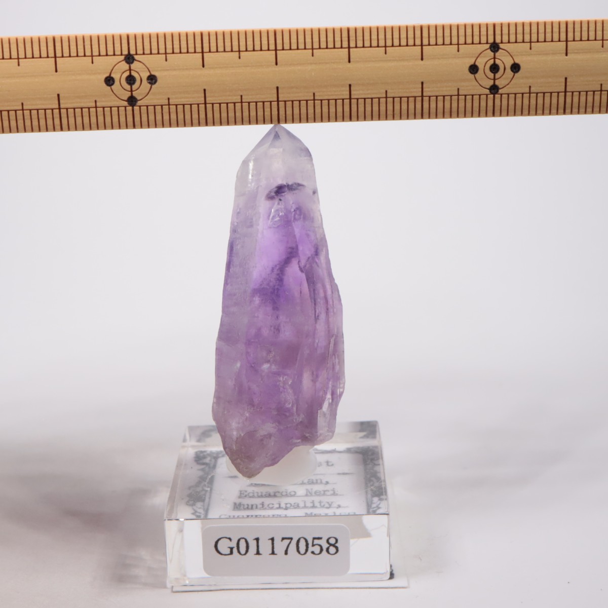 �ᥭ������ ���᥷����