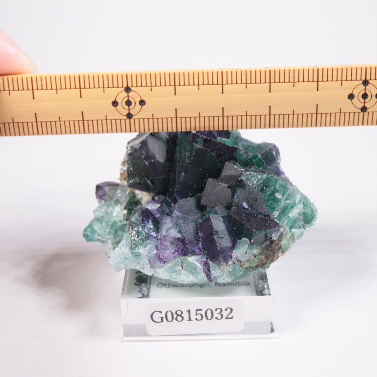 オコルス　ナミビア　フローライト　鉱物標本 オコルス鉱山産 フローライト | 鉱物標本,ハ行,フローライト/蛍石