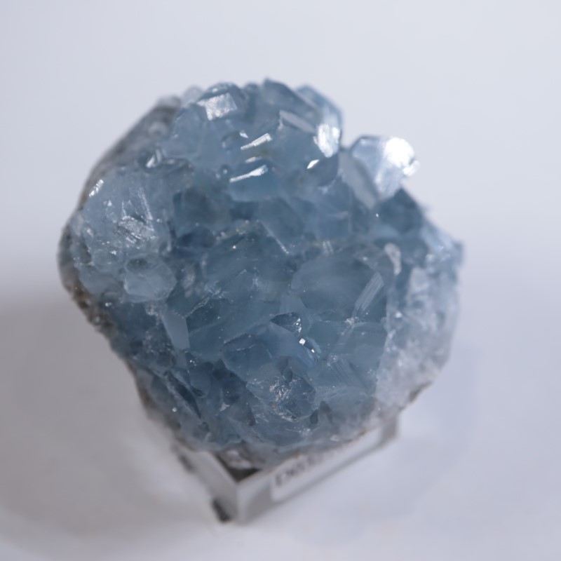 マダガスカル産 セレスタイト | 鉱物標本,サ行,セレスタイト