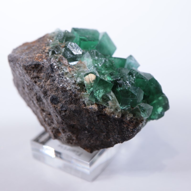 Druzy Dreams�ݥ��åȡ�����