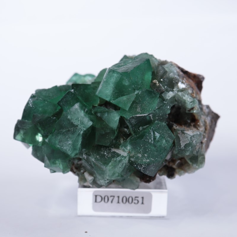 Druzy Dreams�ݥ��åȡ�����