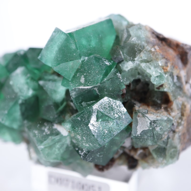 Druzy Dreams�ݥ��åȡ�����