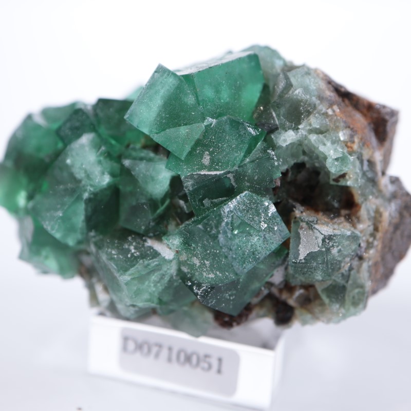 Druzy Dreams�ݥ��åȡ�����