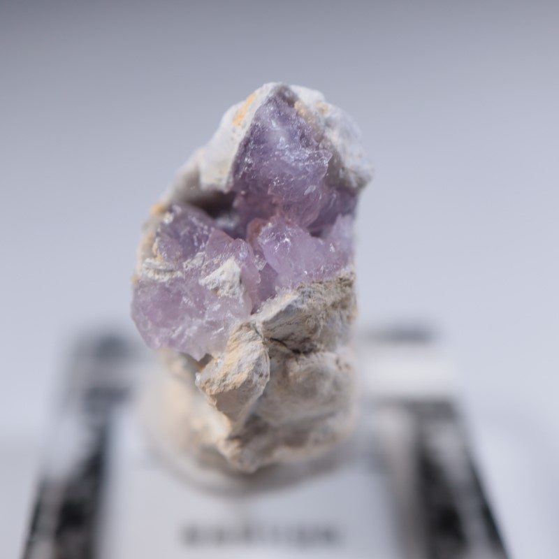 かぐや姫水晶 | 鉱物標本,ア行,アメシスト/紫水晶 | ほたるみねらる