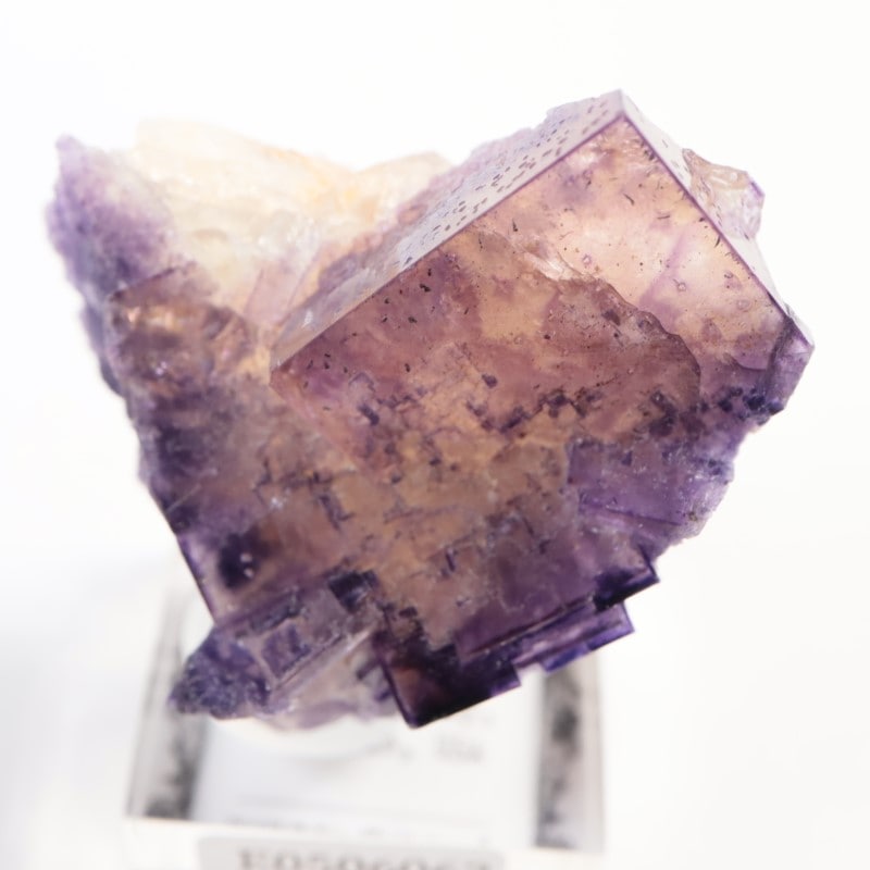 イリノイ州産 フローライト | 鉱物標本,ハ行,フローライト/蛍石,フロー