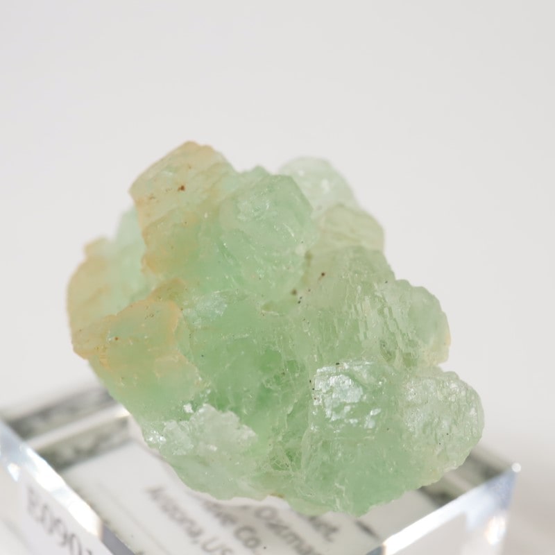 ���꥾�ʽ��� �ե����饤��