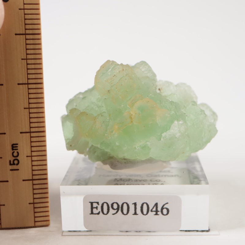 ���꥾�ʽ��� �ե����饤��