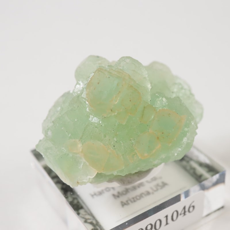 ���꥾�ʽ��� �ե����饤��