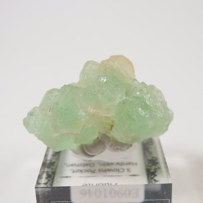 ���꥾�ʽ��� �ե����饤��