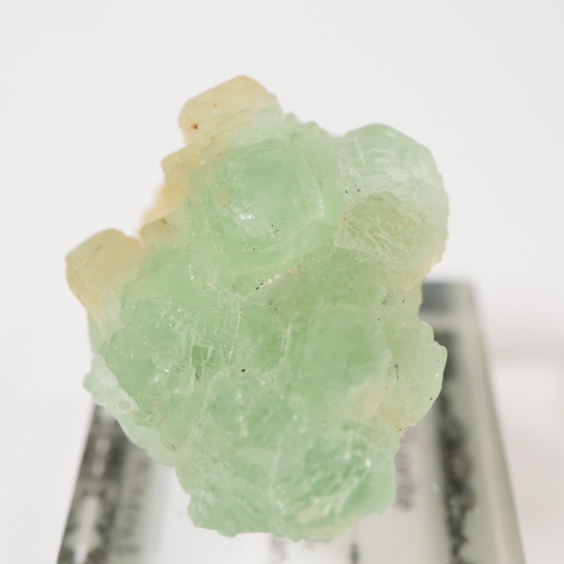 ���꥾�ʽ��� �ե����饤��