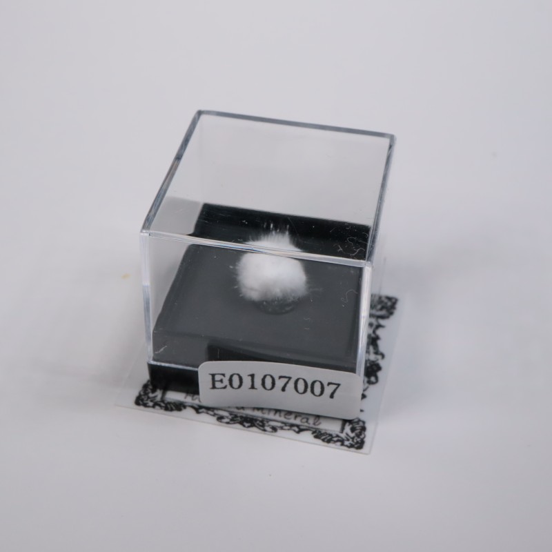 ����ɻ��������ʥ���