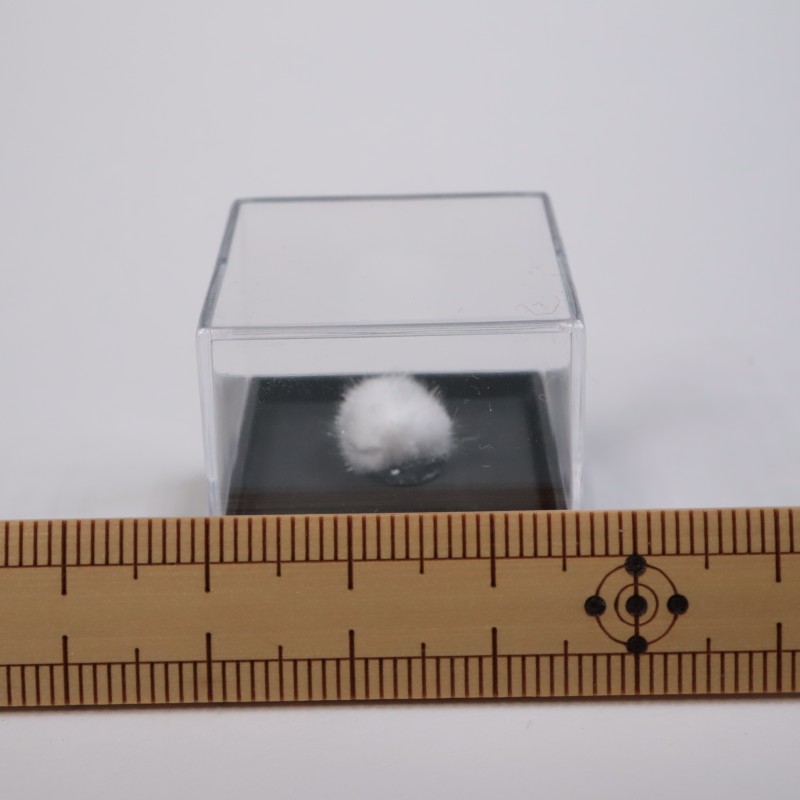 ����ɻ��������ʥ���