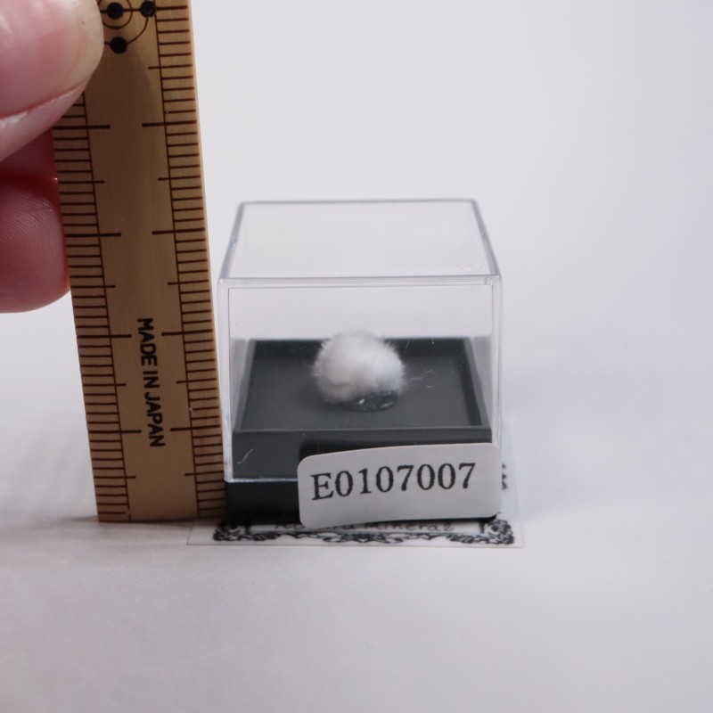 ����ɻ��������ʥ���