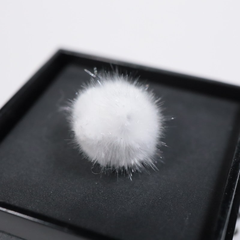 ����ɻ��������ʥ���