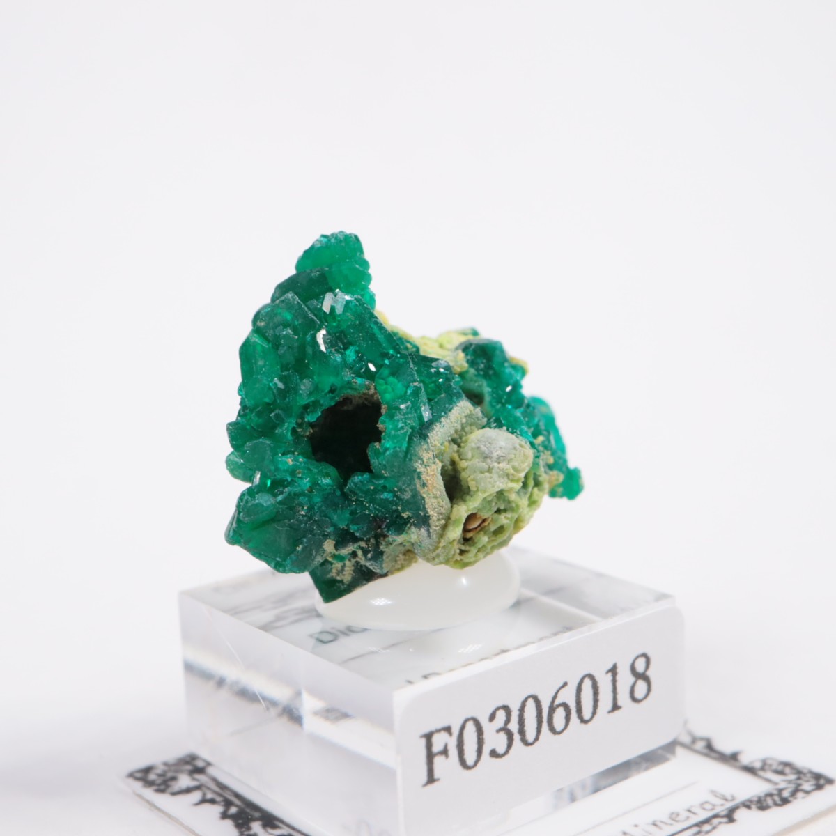 ���󥴻� �������ץơ���