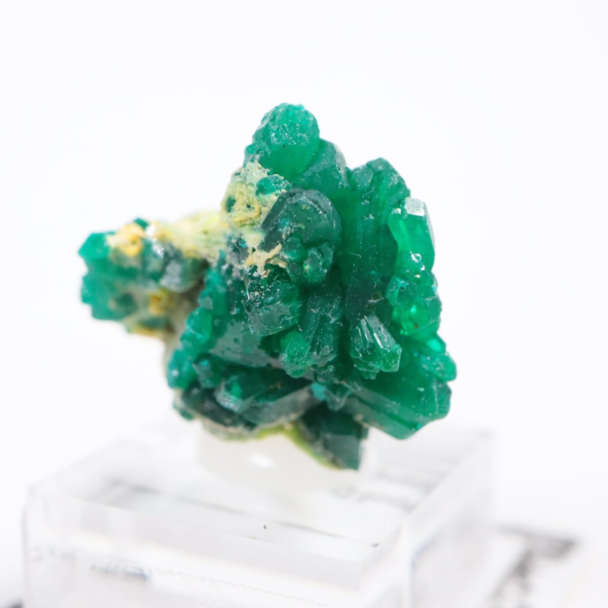 ���󥴻� �������ץơ���