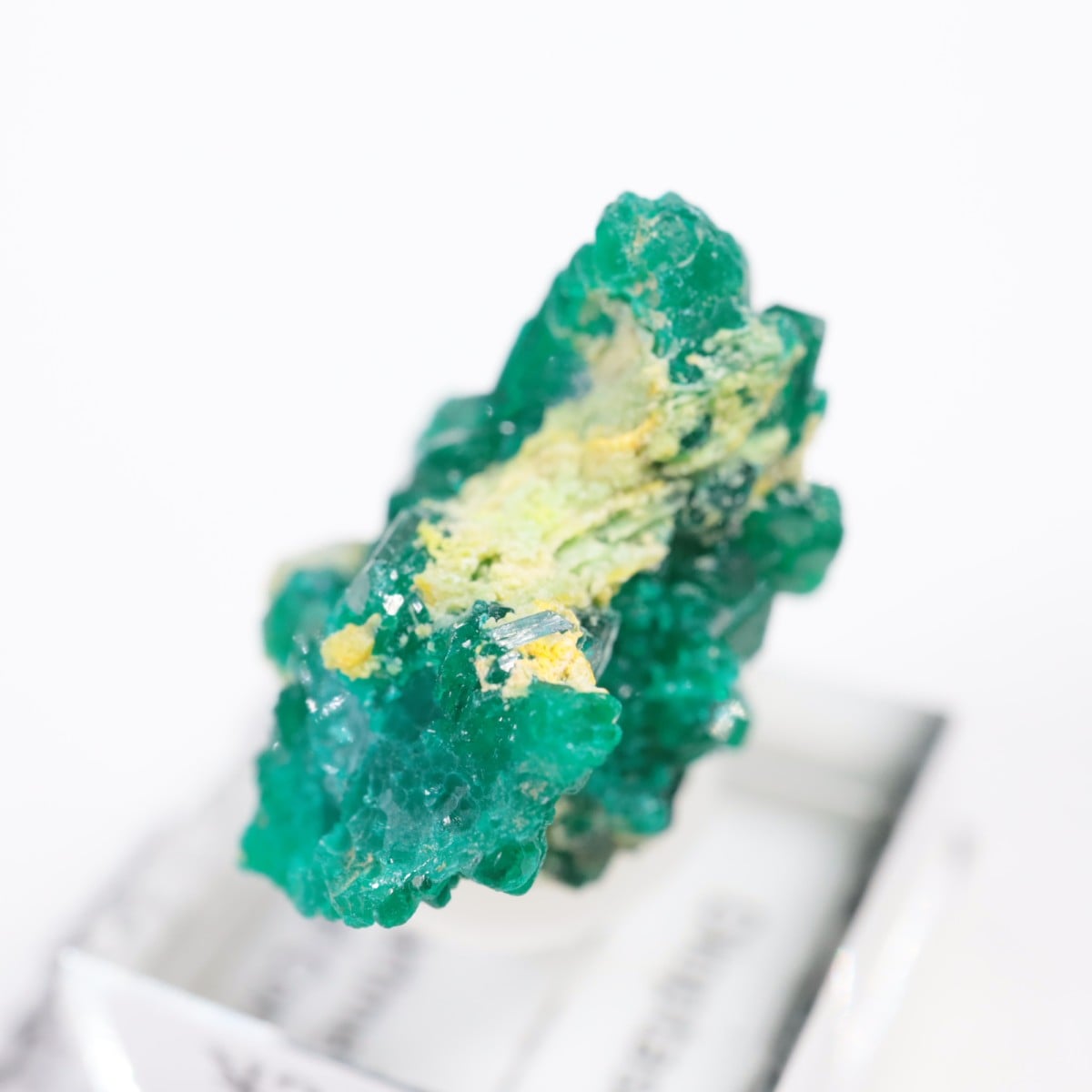 ���󥴻� �������ץơ���