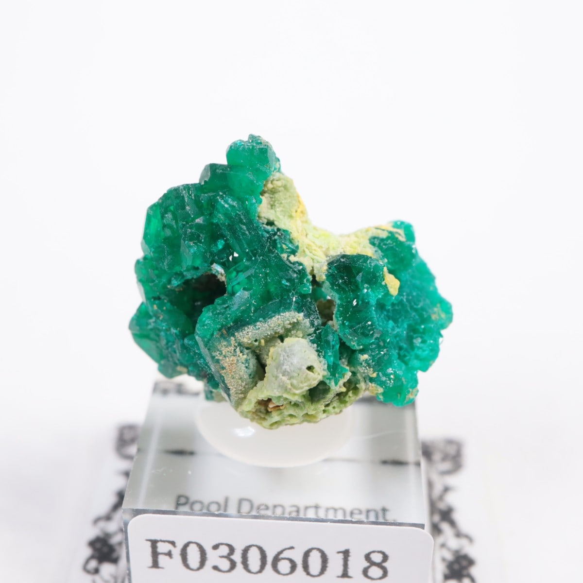 ���󥴻� �������ץơ���