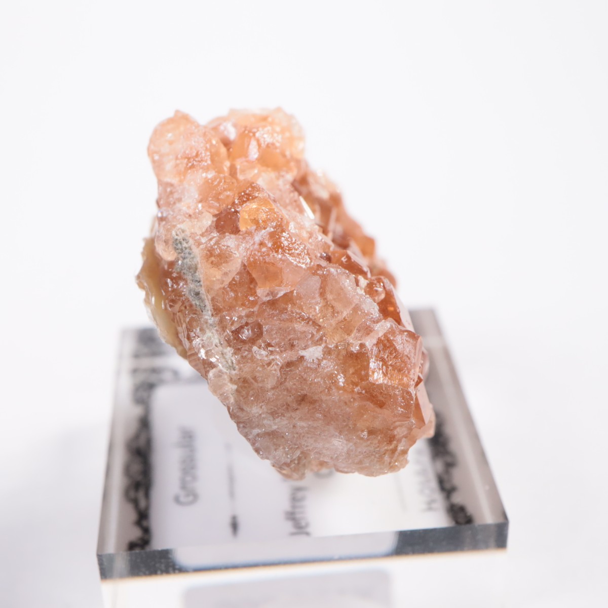 �����ե꡼�ۻ��� ��������顼�����ͥå�