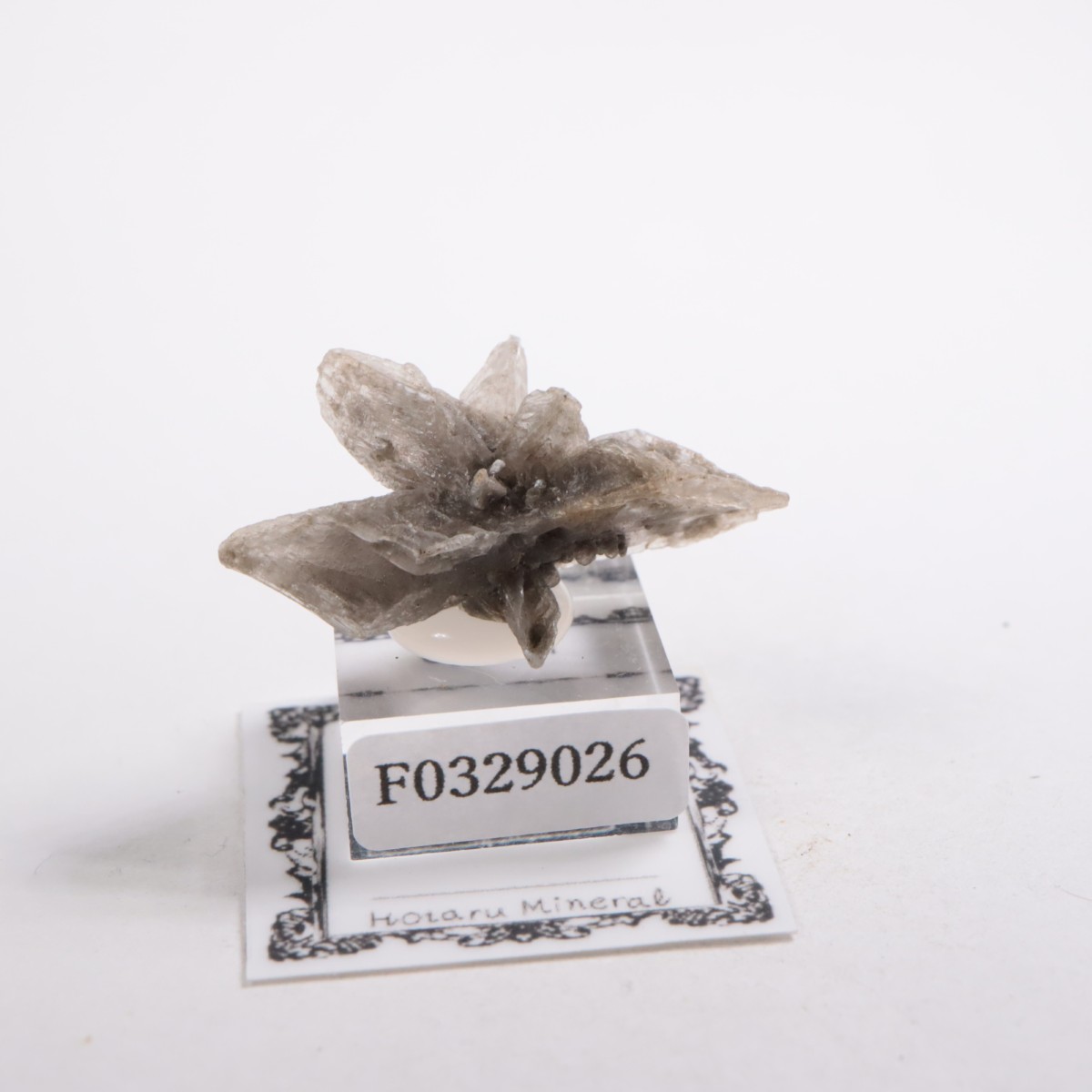 ������ۥ޽� ���ץ���