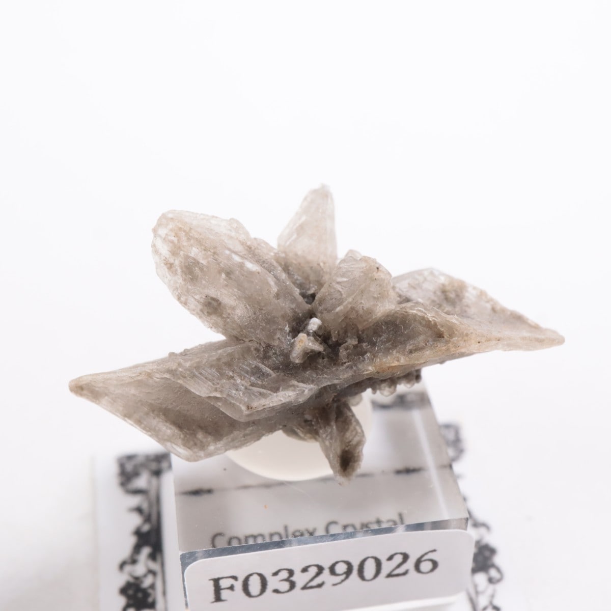 ������ۥ޽� ���ץ���