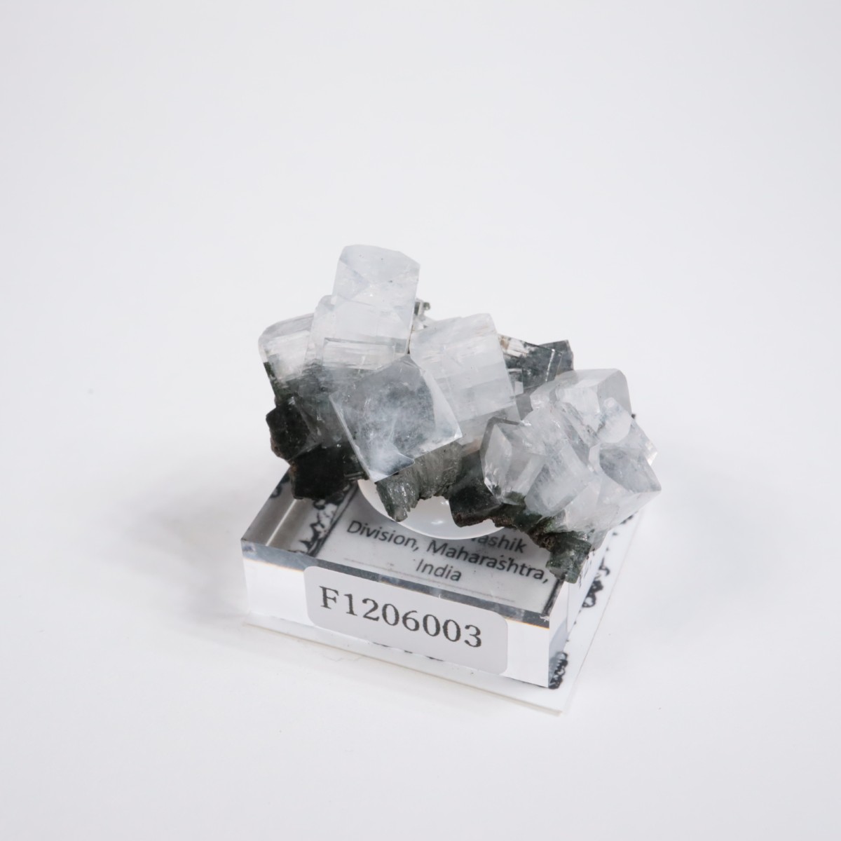 ����ɻ� ���ݥե��饤��