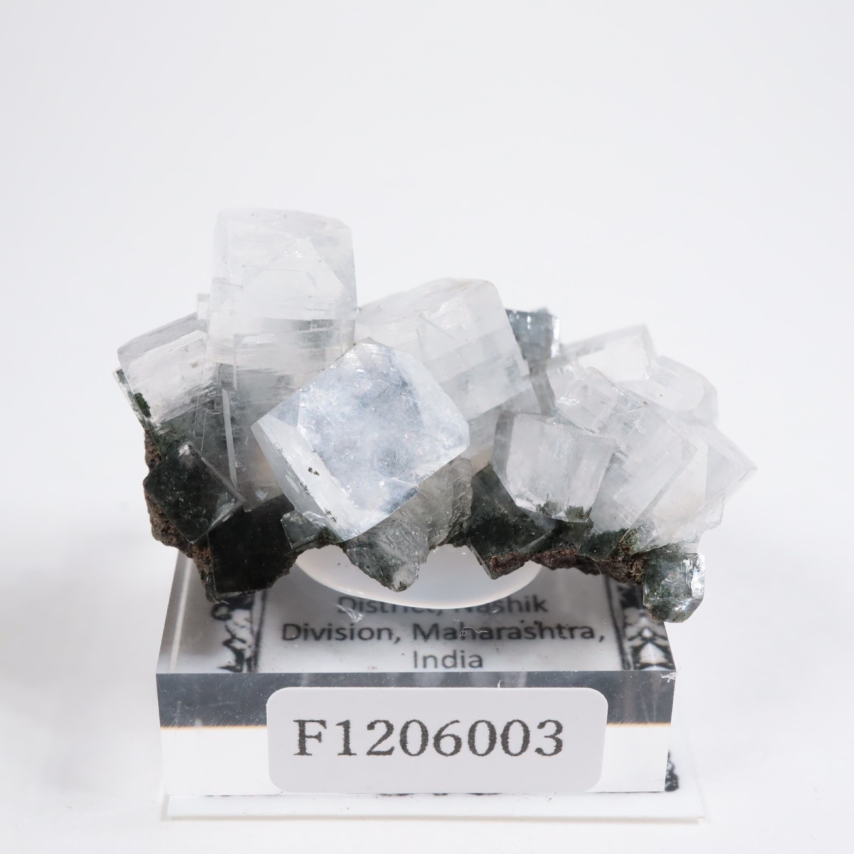 ����ɻ� ���ݥե��饤��