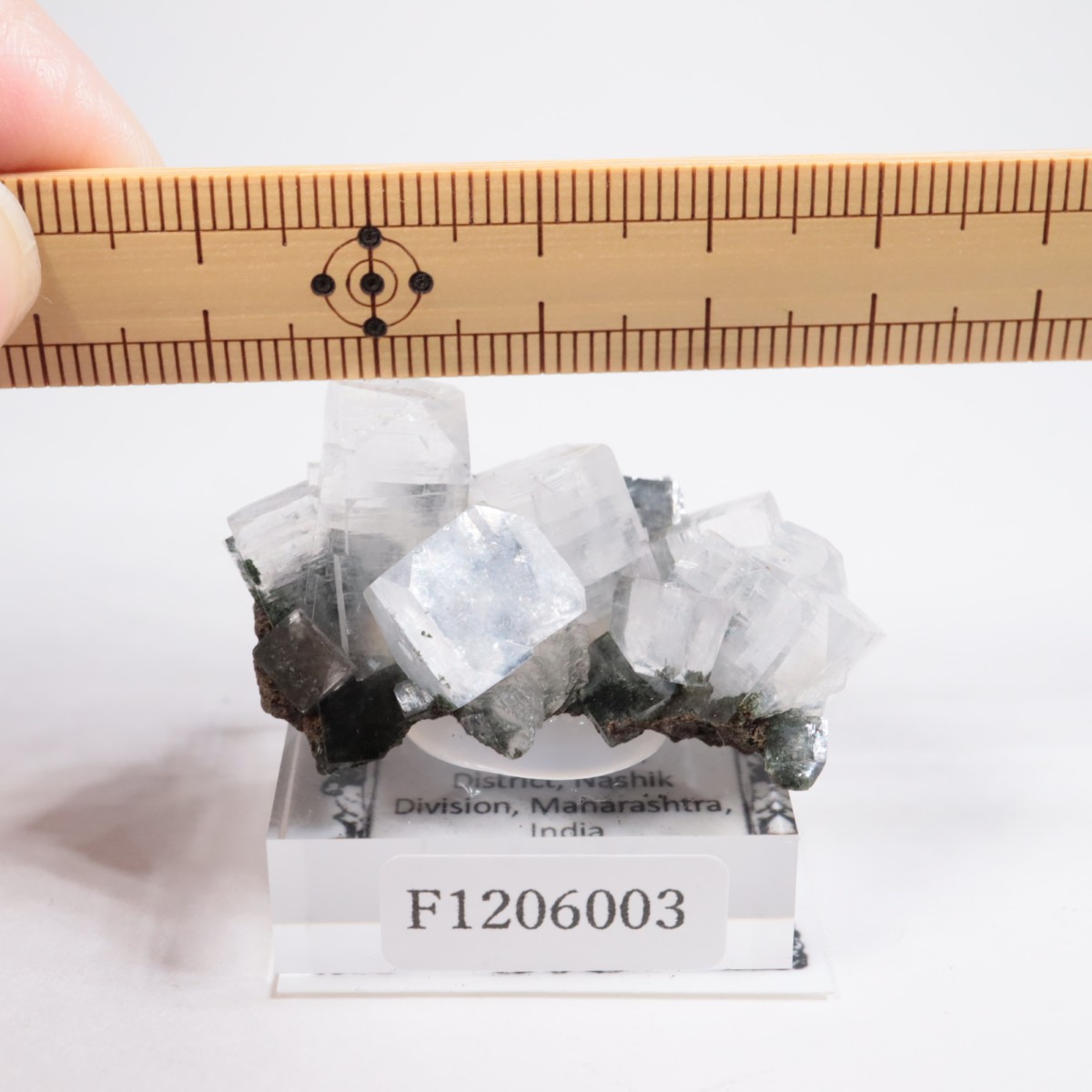 ����ɻ� ���ݥե��饤��