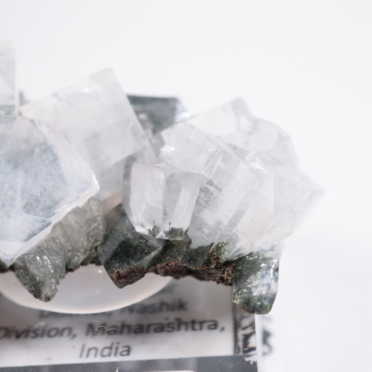 ����ɻ� ���ݥե��饤��