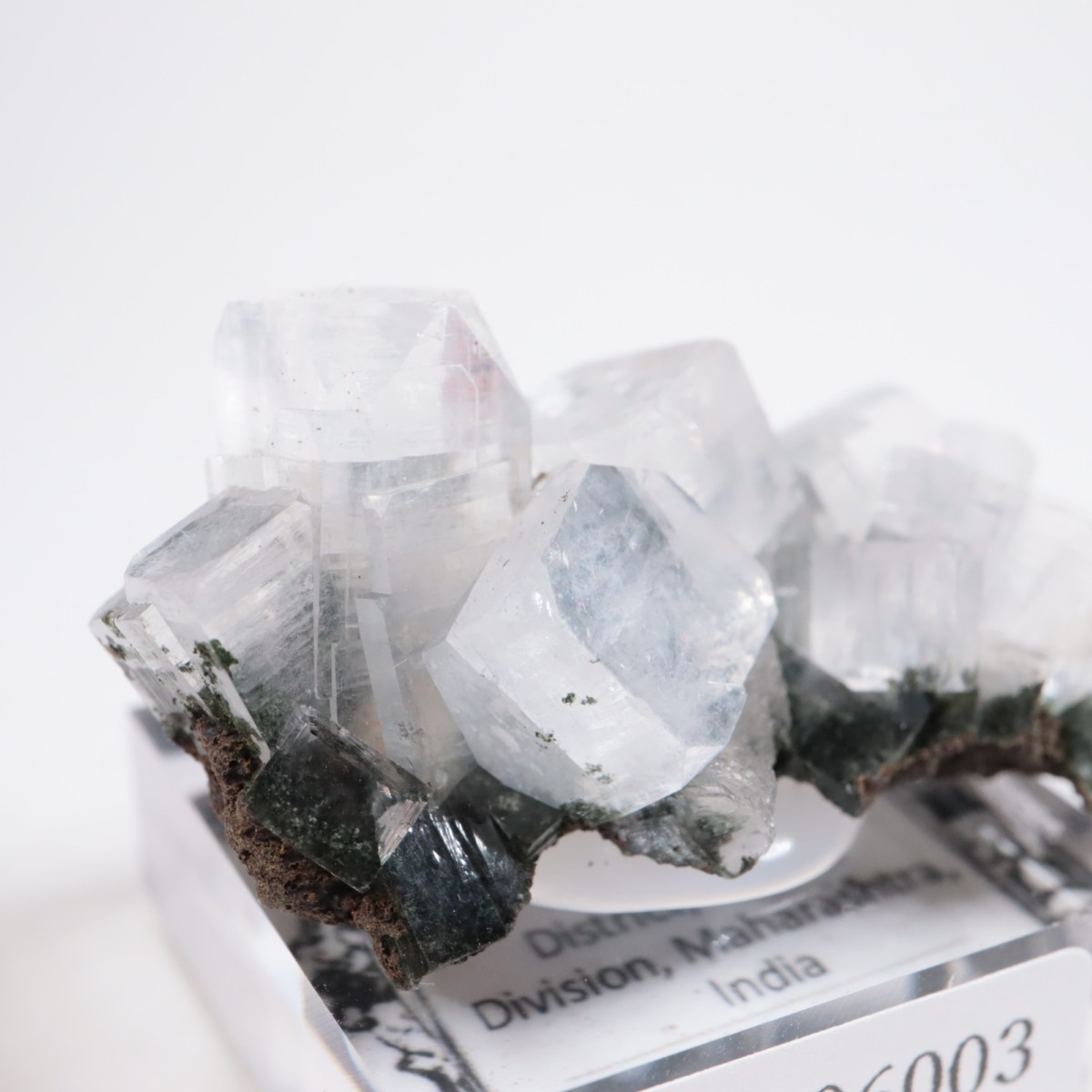 ����ɻ� ���ݥե��饤��