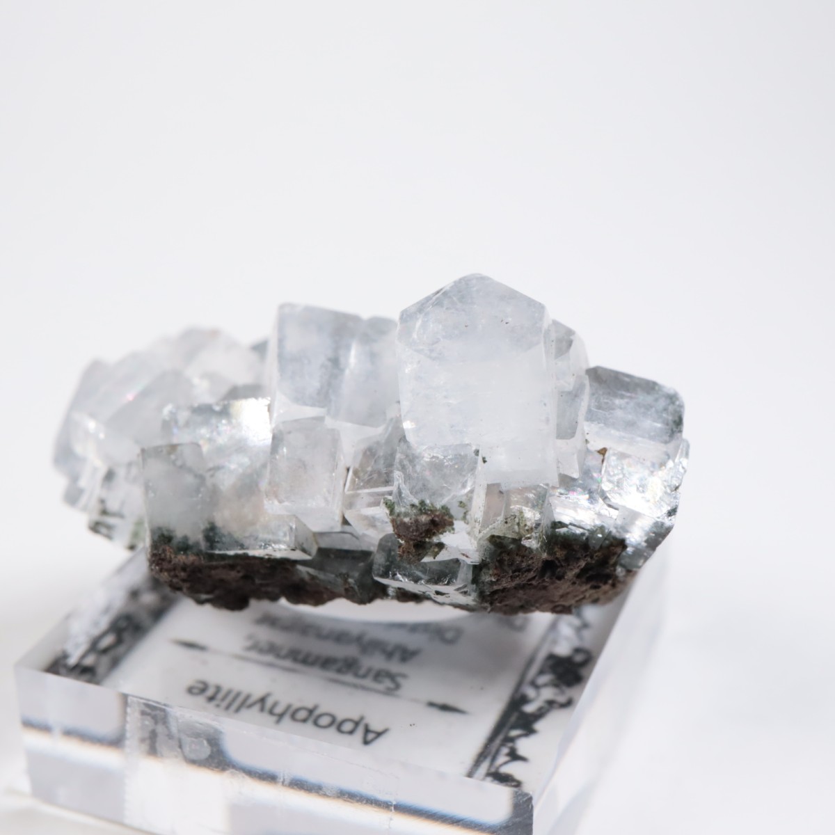 ����ɻ� ���ݥե��饤��