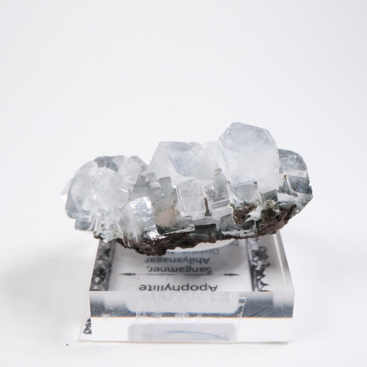 ����ɻ� ���ݥե��饤��