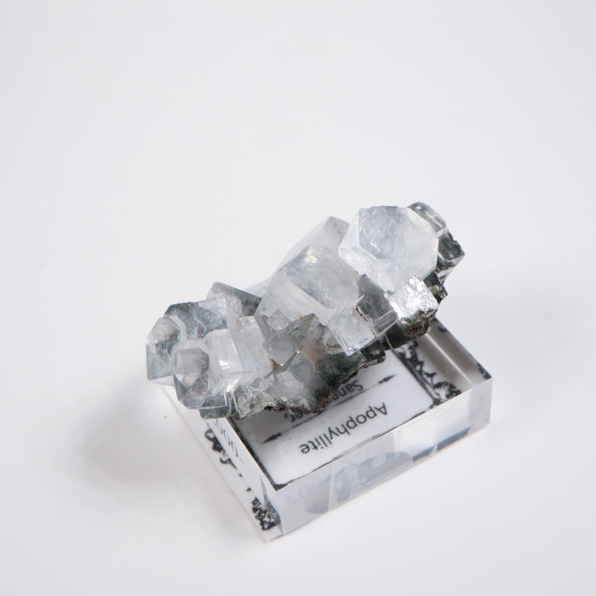 ����ɻ� ���ݥե��饤��