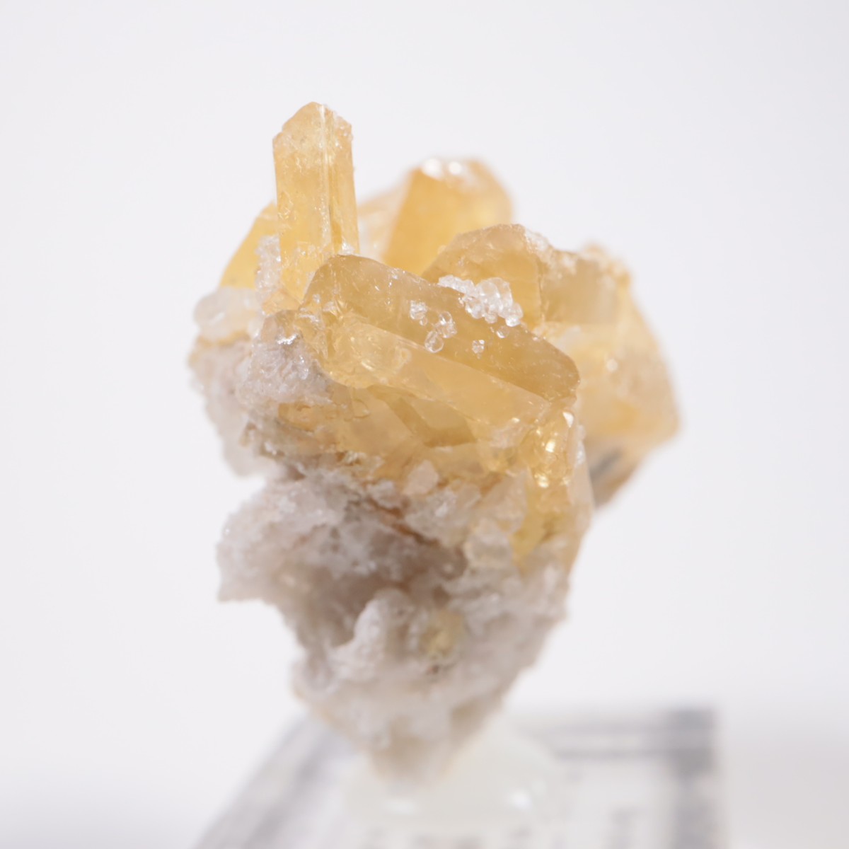 �ͥХ����� �Х饤��