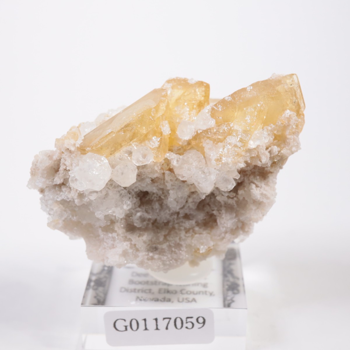 �ͥХ����� �Х饤��