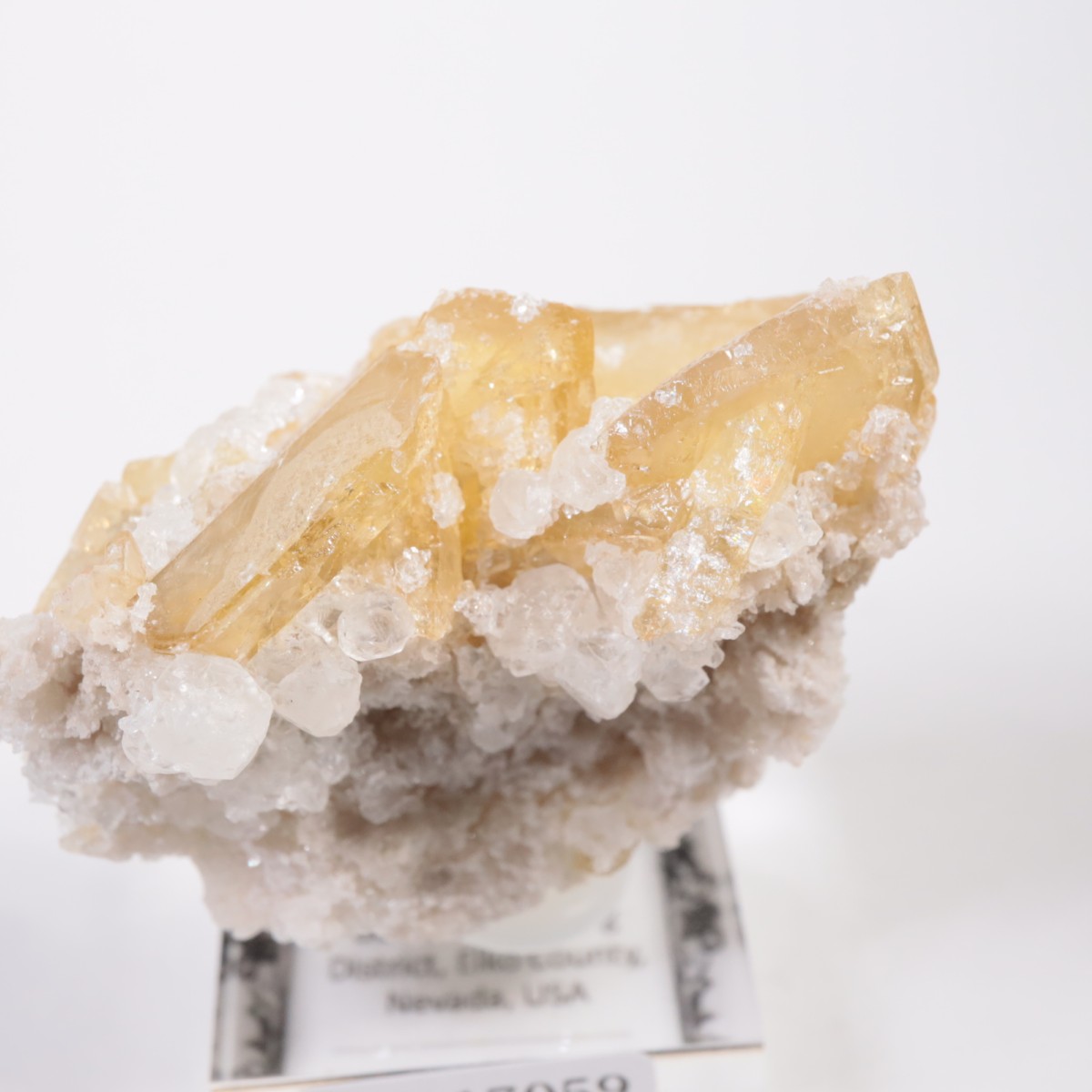 �ͥХ����� �Х饤��