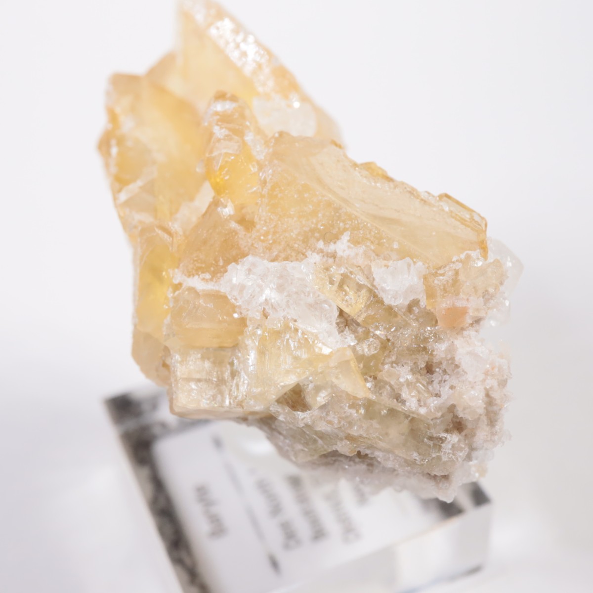 �ͥХ����� �Х饤��