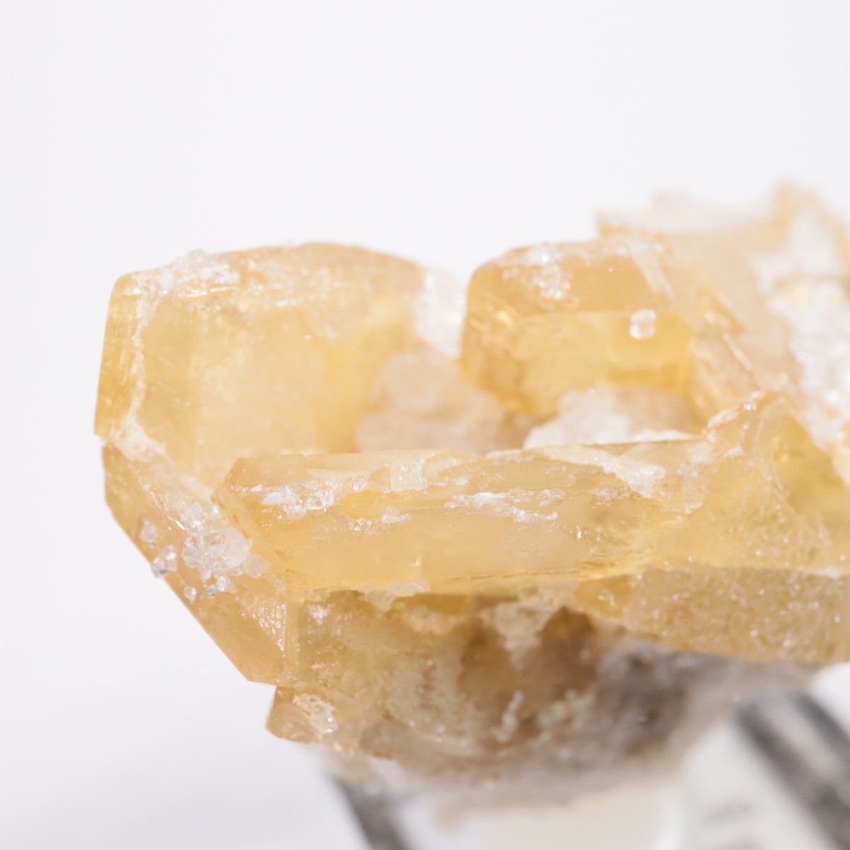 �ͥХ����� �Х饤��