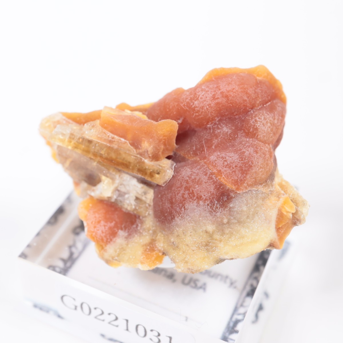 ��󥿥ʽ��� ���륵����