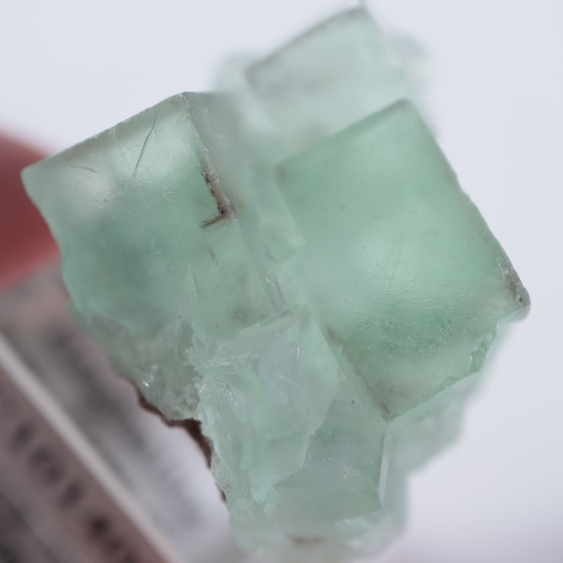 Xianghualing鉱山 蛍石 | 鉱物標本,ハ行,フローライト/蛍石,フロー