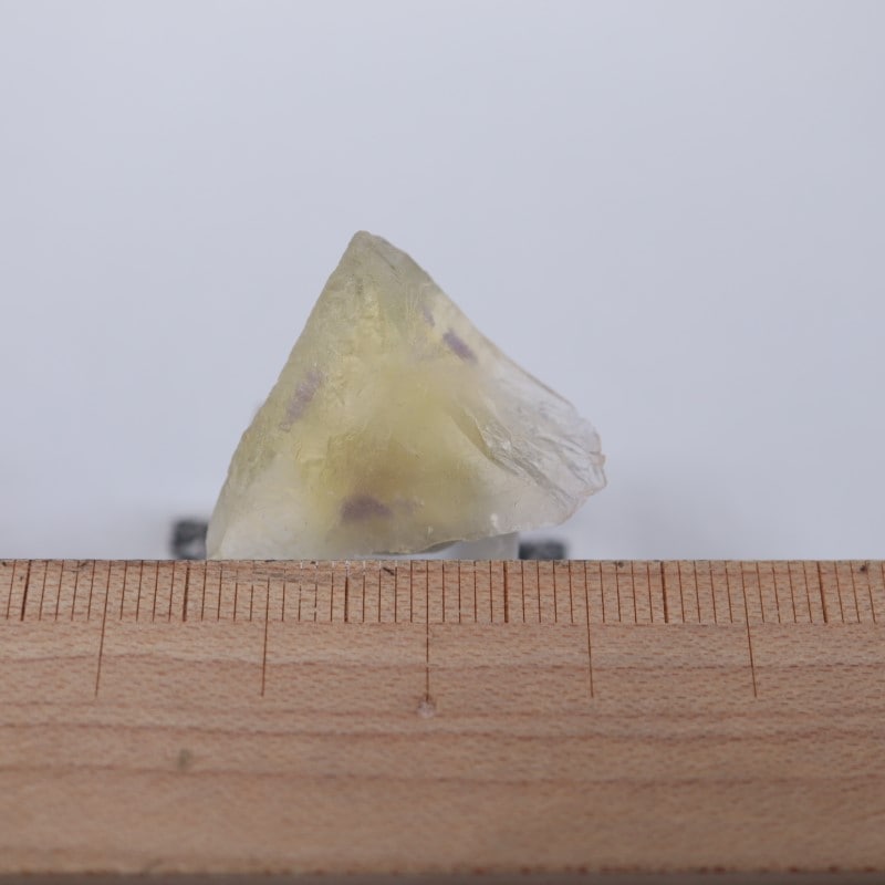 El Hammam�ۻ����ե����饤��