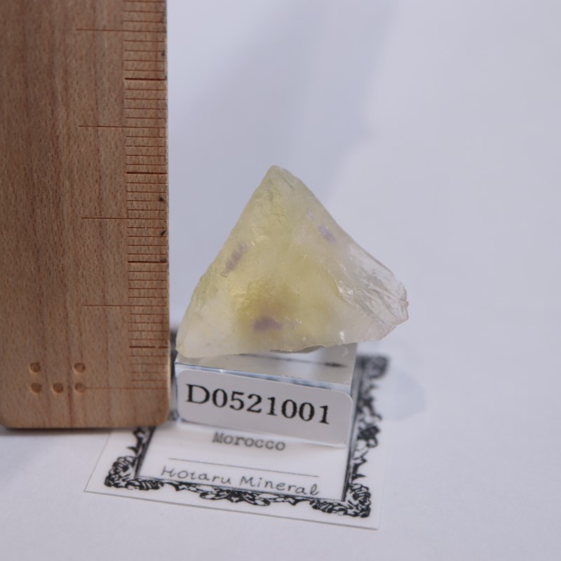 El Hammam�ۻ����ե����饤��