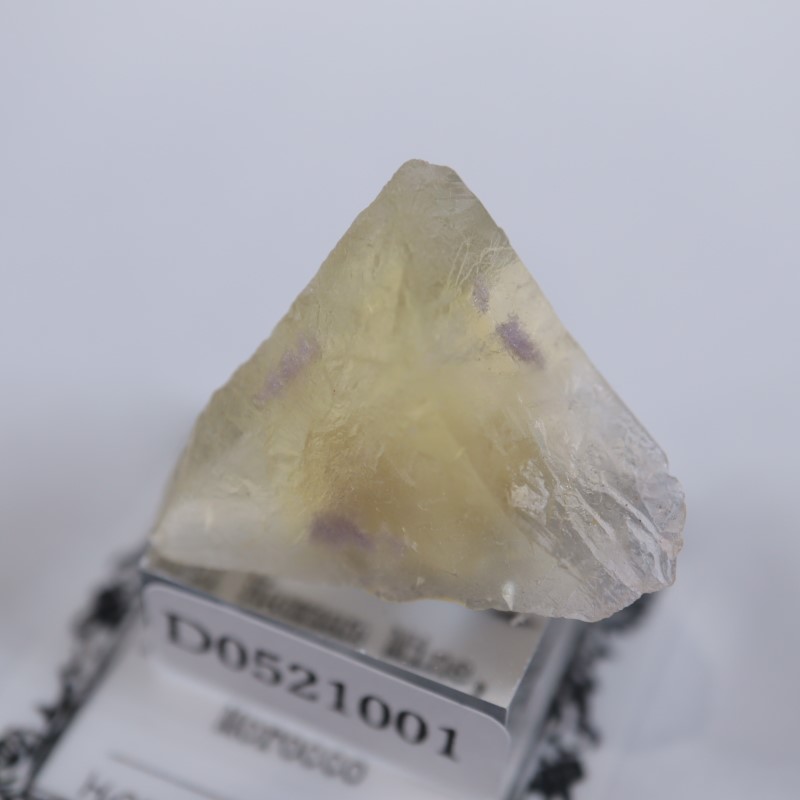 El Hammam�ۻ����ե����饤��